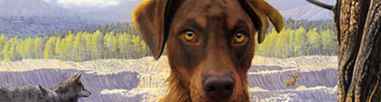 The Exile’s Journey