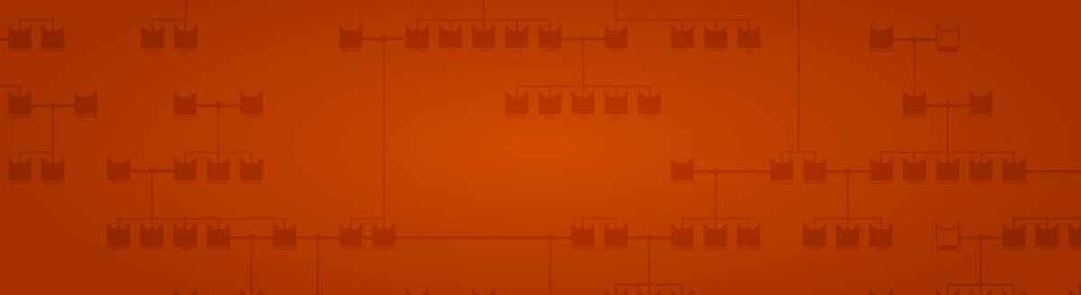 A special message from Vicky to announce the first Warrior Cats short story competition