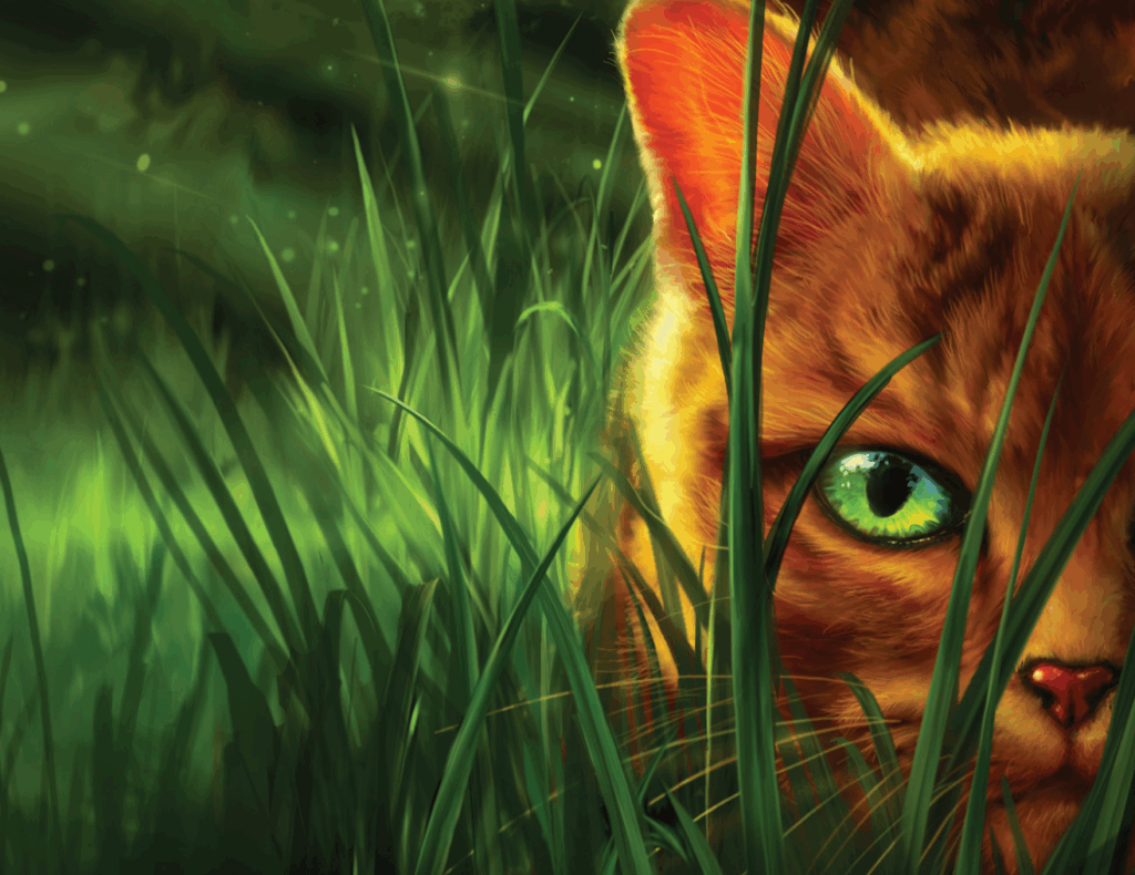 How well do you know Into the Wild? | Warrior Cats