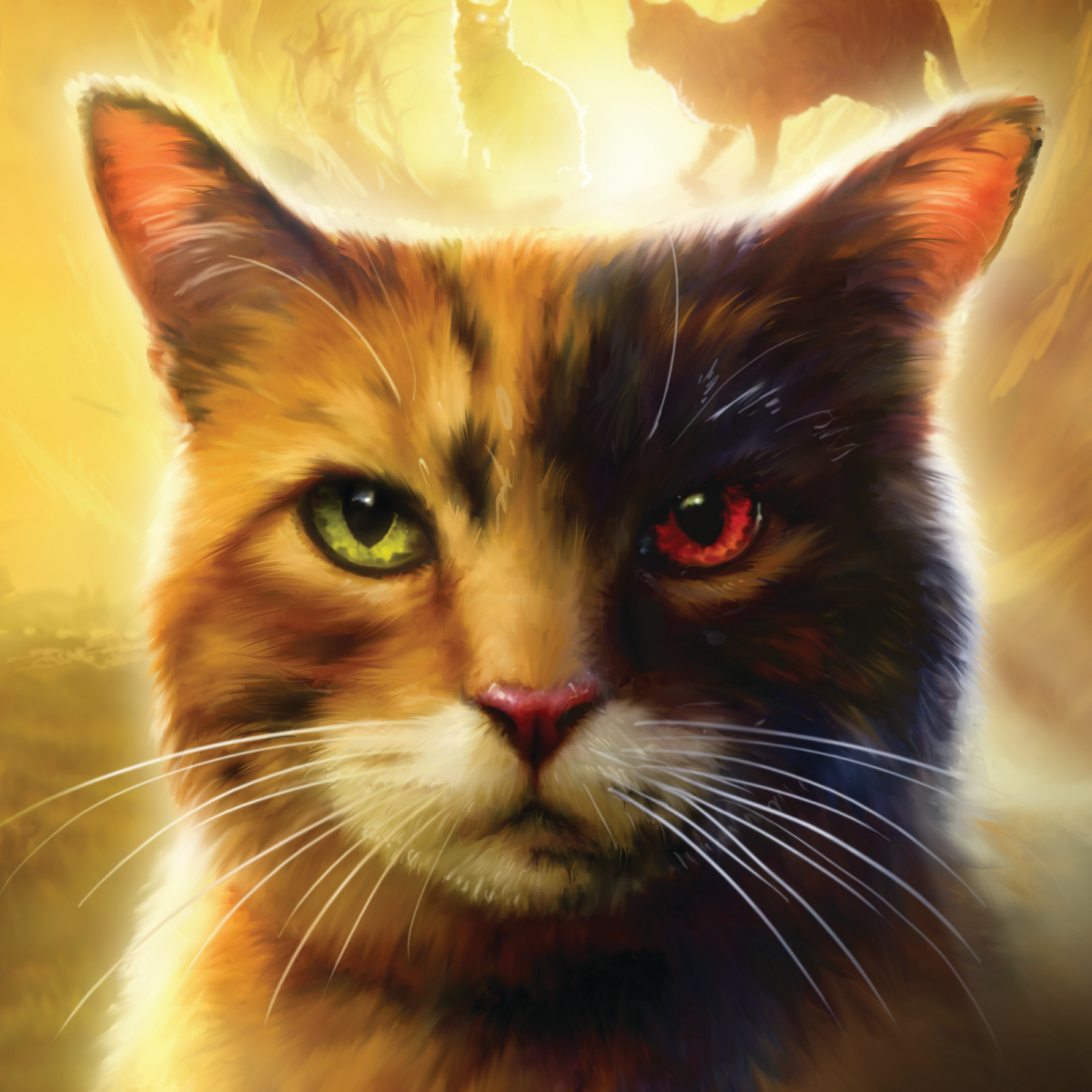 Shadestorm2011 – Nine lives challenge