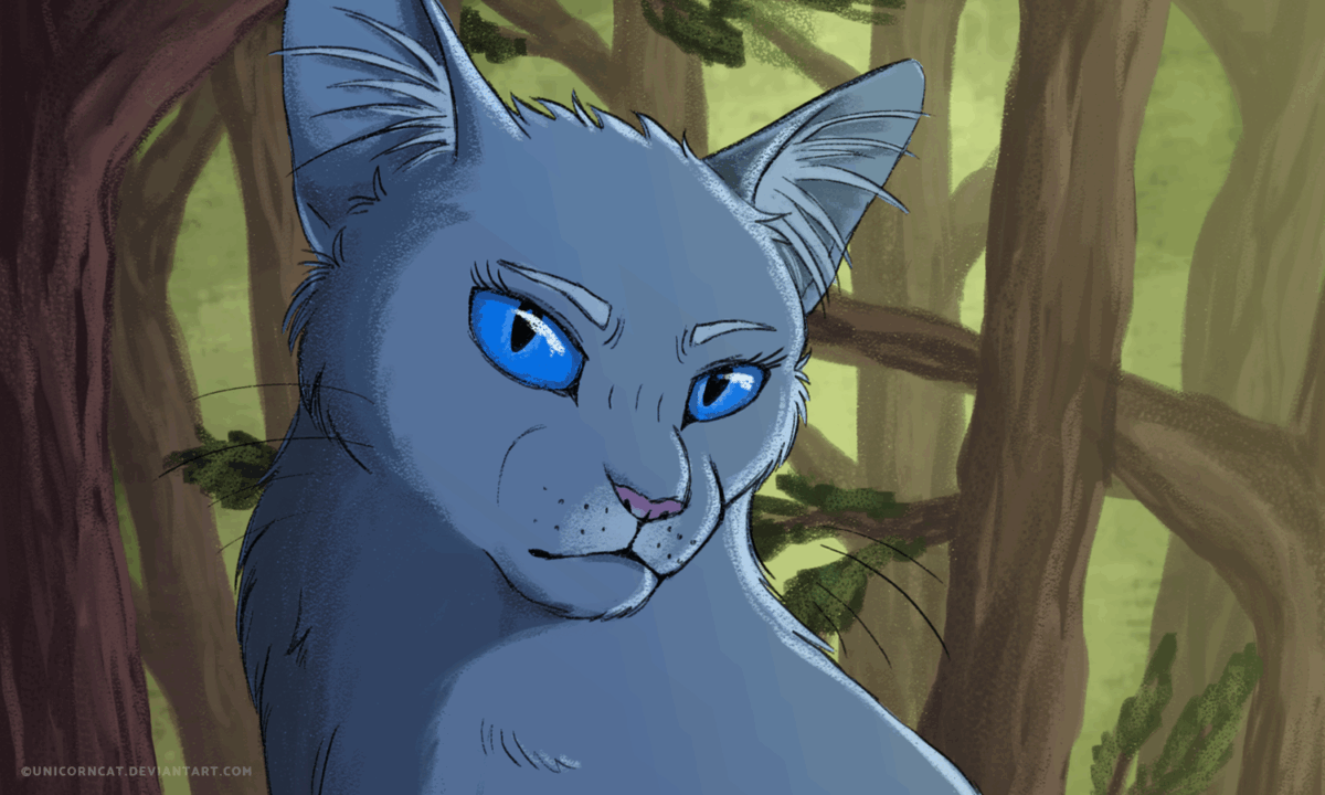 Bluestar and Oakheart
