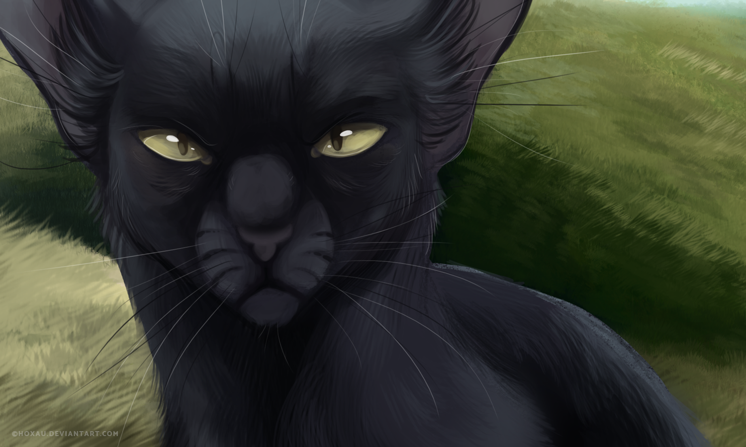 Easy Breezy Beautiful