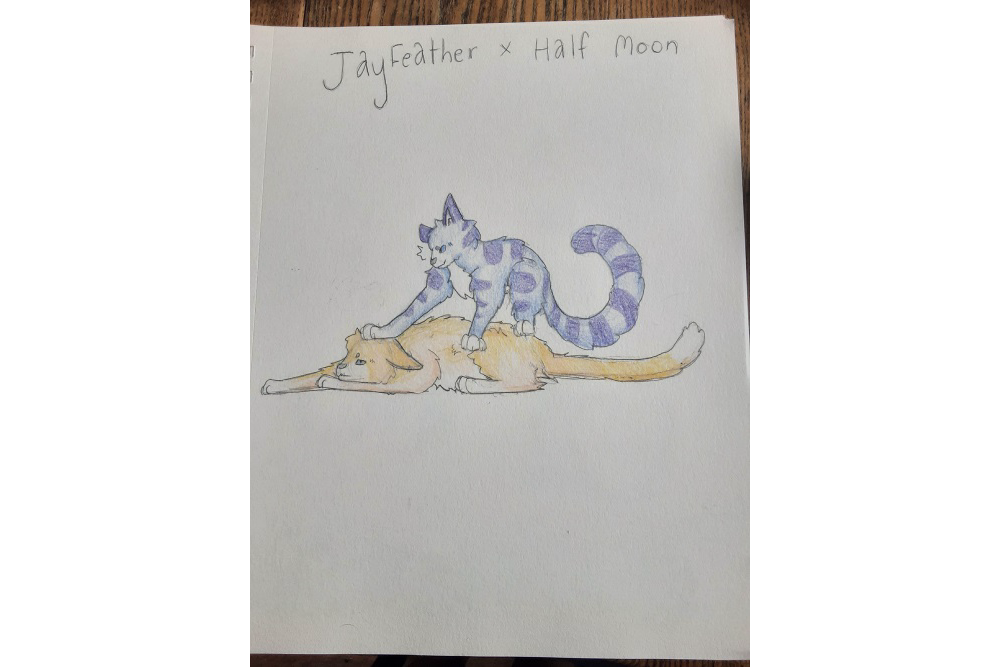 A$HER Coyote – “What-if” kits challenge