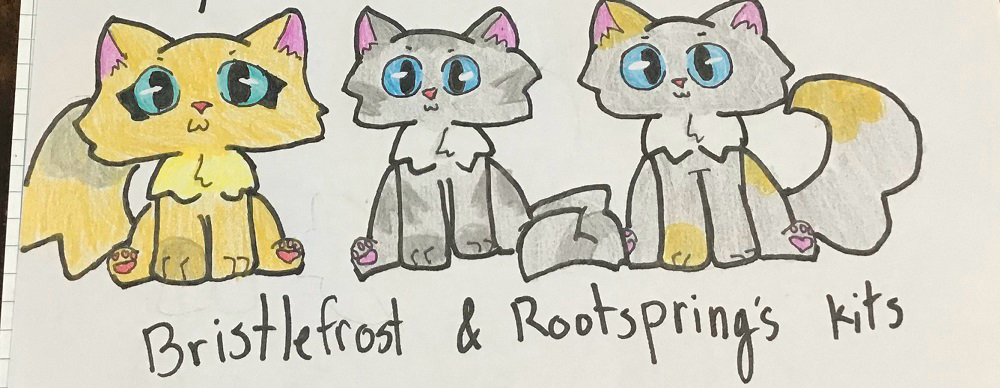 Alisa – “What-if” kits challenge