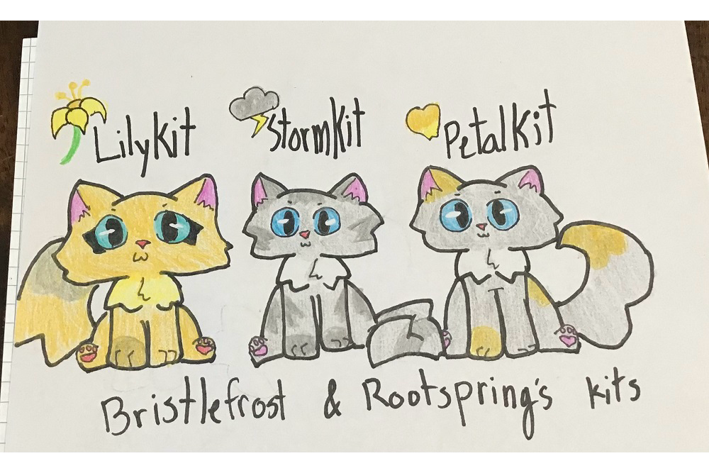 Afton – “What-if” kits challenge