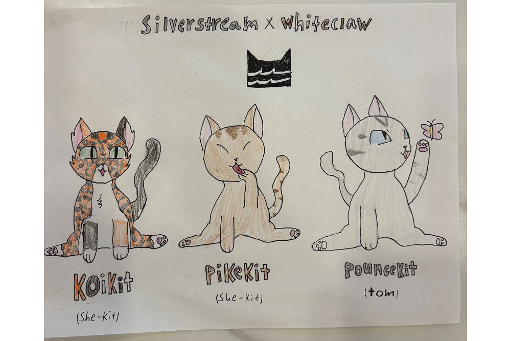 Alisa – “What-if” kits challenge