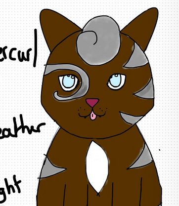 Fern Spring – “What-if” kits challenge