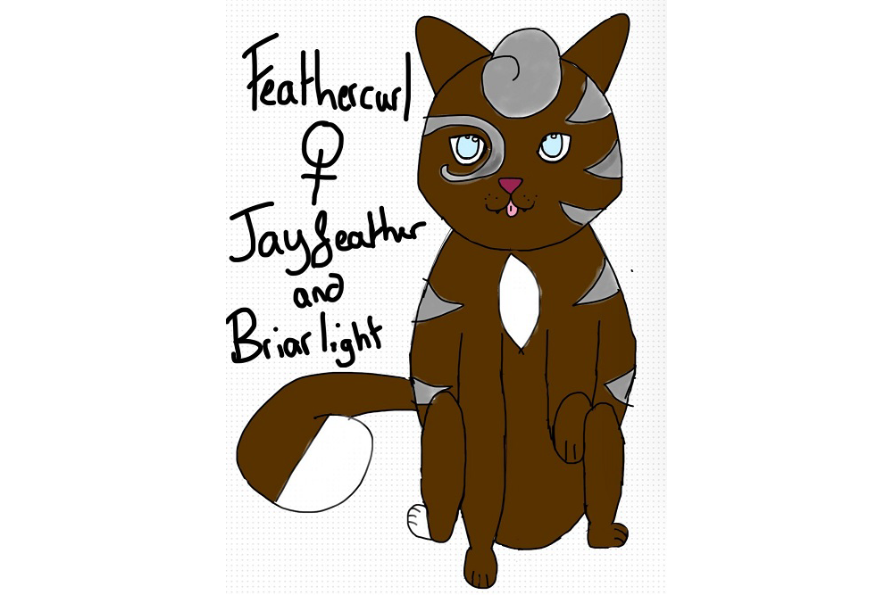 Asheye3 – “What-if” kits challenge