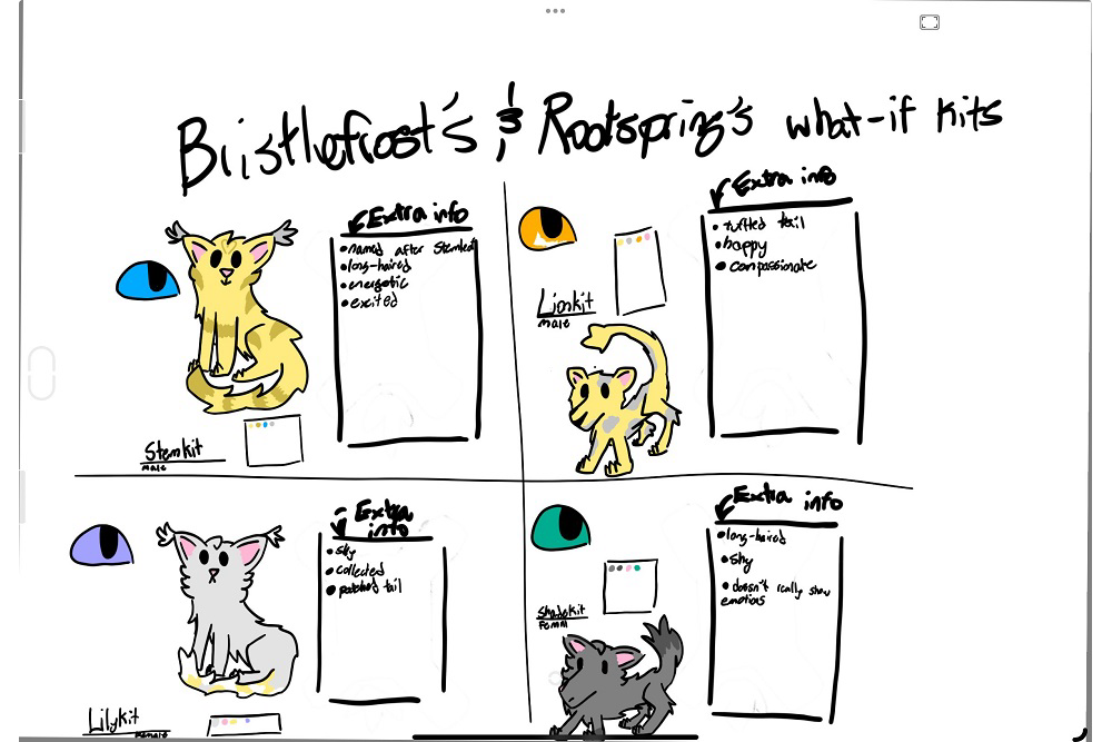 Brooklyn – “What-if” kits challenge