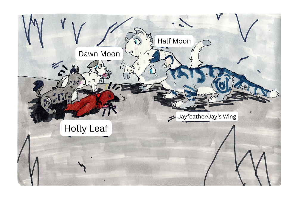 C.C. – “What-if” kits challenge