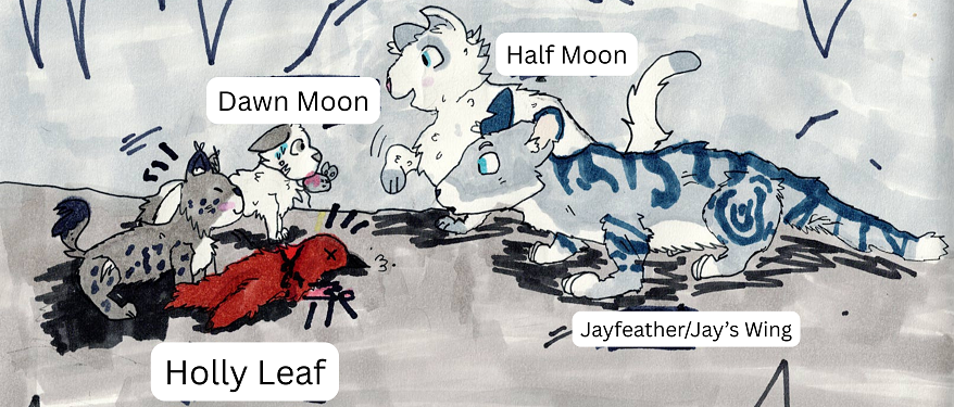 Cecily – “What-if” kits challenge