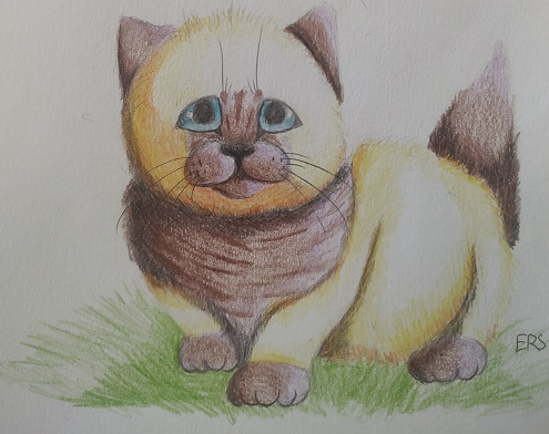 Jemima – “What-if” kits challenge