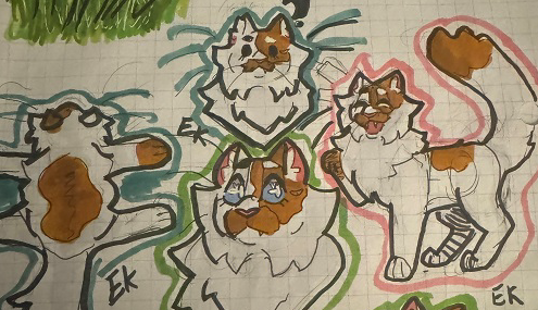 Erin – “What-if” kits challenge