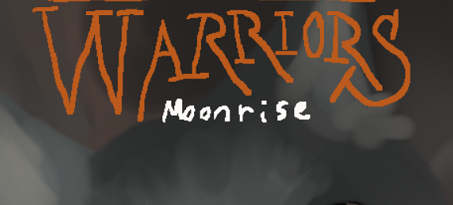 Foxraven – Book cover challenge