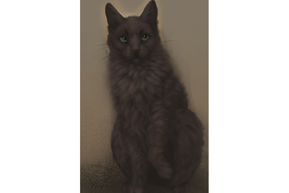 fantasticartpaws-deviantart