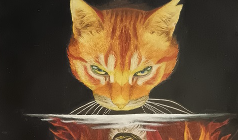 firestar doesn’t_like_waffles – Book cover challenge