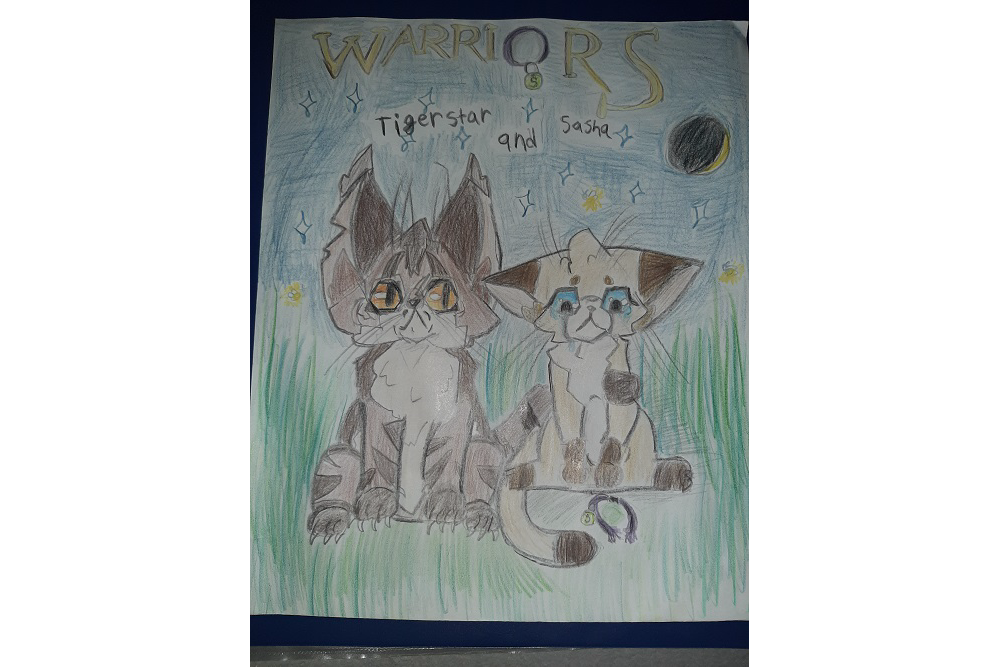 Flurrystar – Book cover challenge