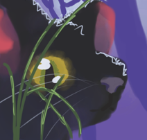 John – Book cover challenge