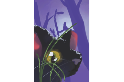 GhostWearsHats – Book cover challenge