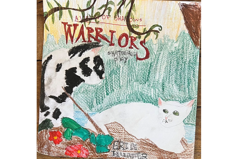 Hayden – Book cover challenge