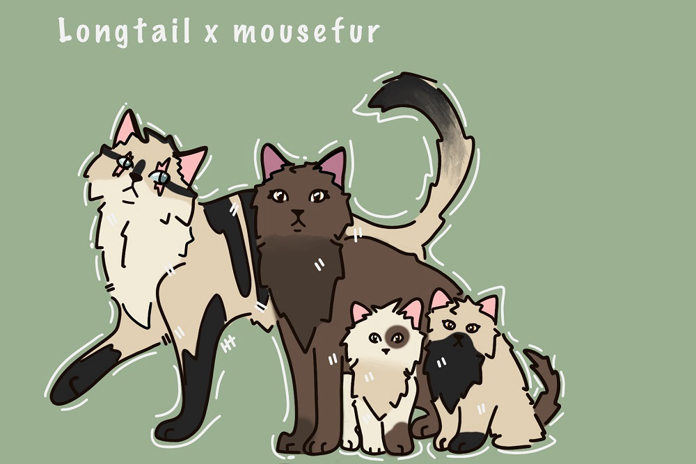 Helena – “What-if” kits challenge