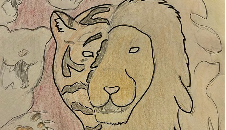 John – Book cover challenge