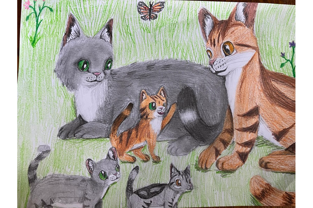 Juno – “What-if” kits challenge