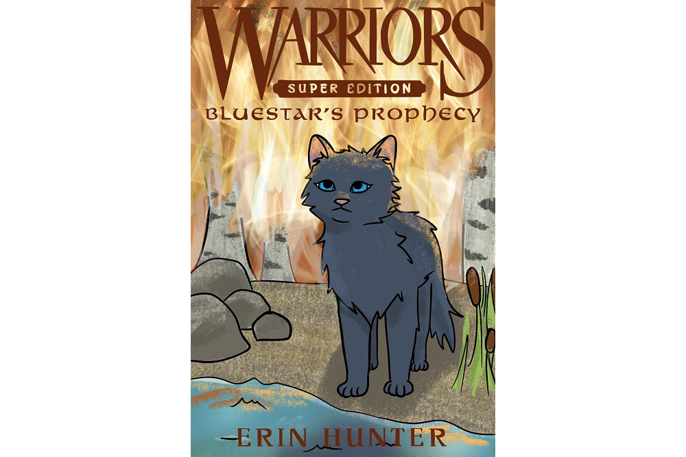 Littleshimmer15121 – Book cover challenge