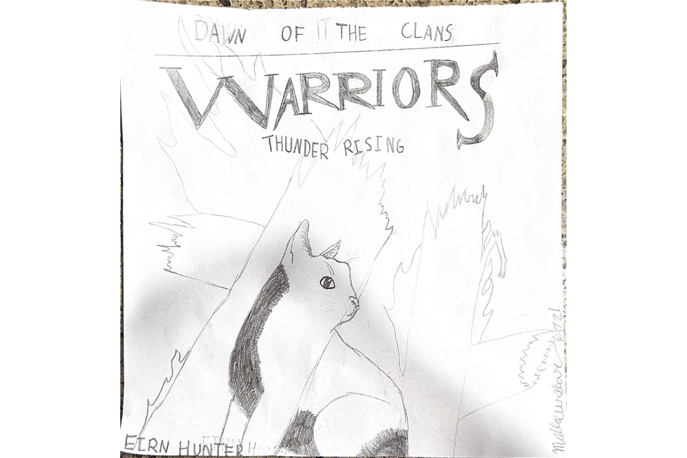 Mallowstar 6721 – Book cover challenge