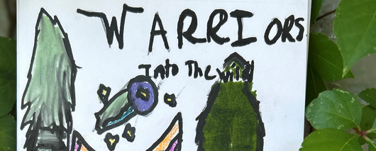 meri – Book cover challenge