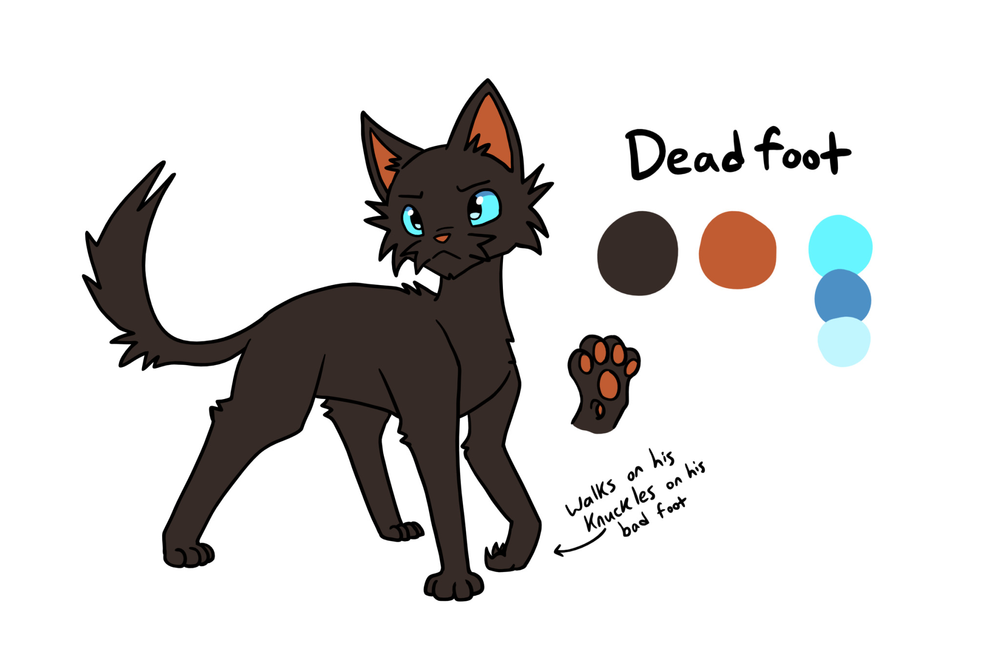 boonauwarriorcats-tumblr