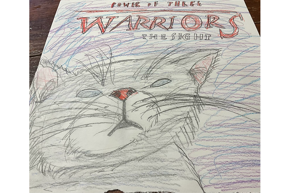 meri – Book cover challenge