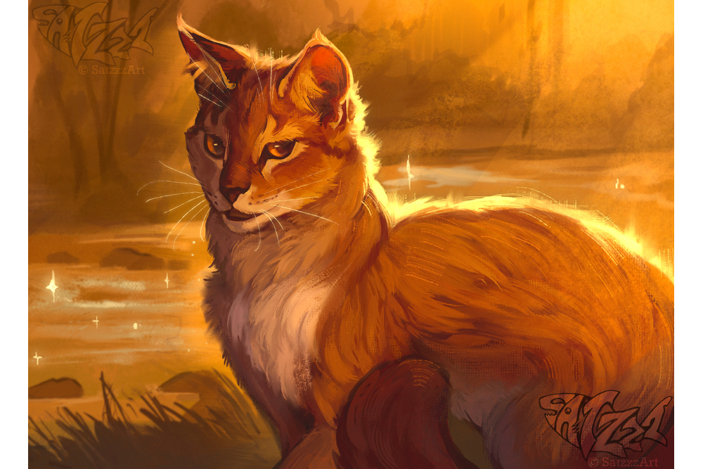 wacadoodles-tumblr-2