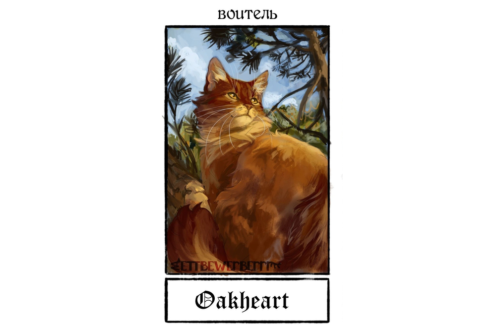 wettbewerberrr-tumblr