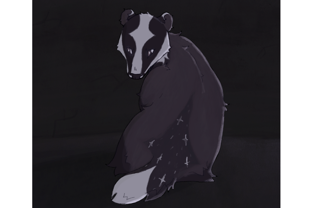 7_Space_7 – Non-cat characters challenge