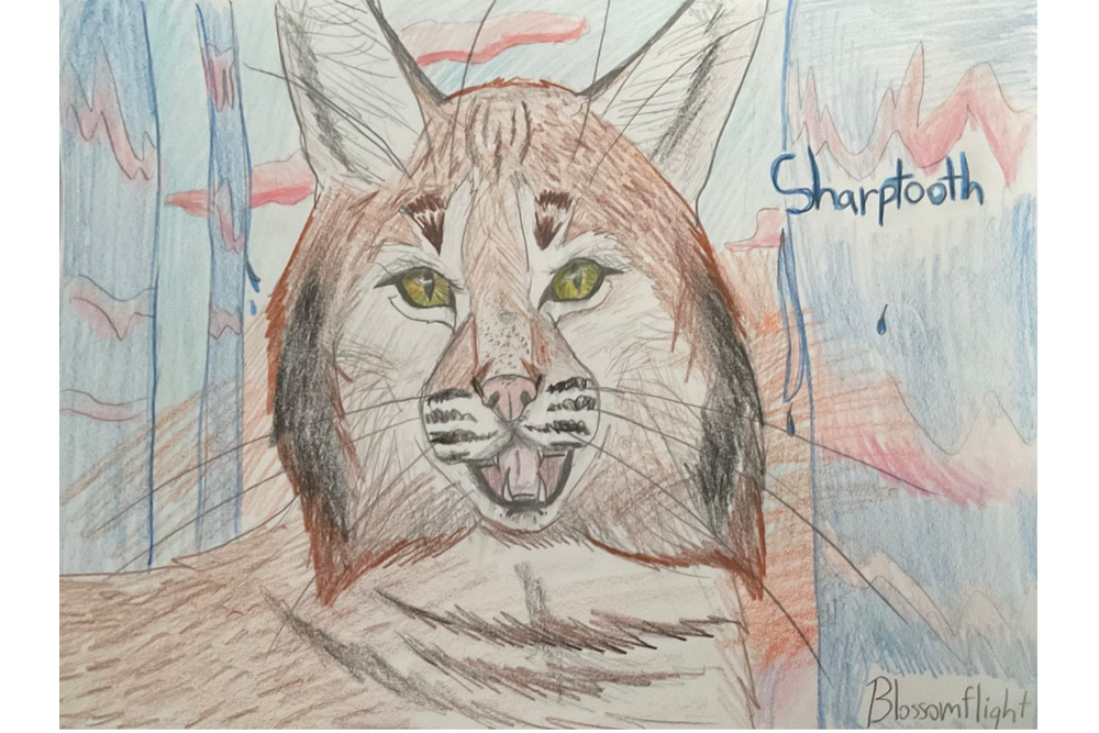 Clara – Non-cat characters challenge