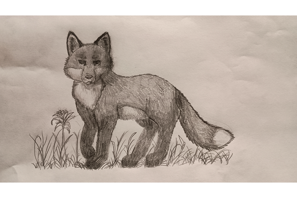 Clara – Non-cat characters challenge