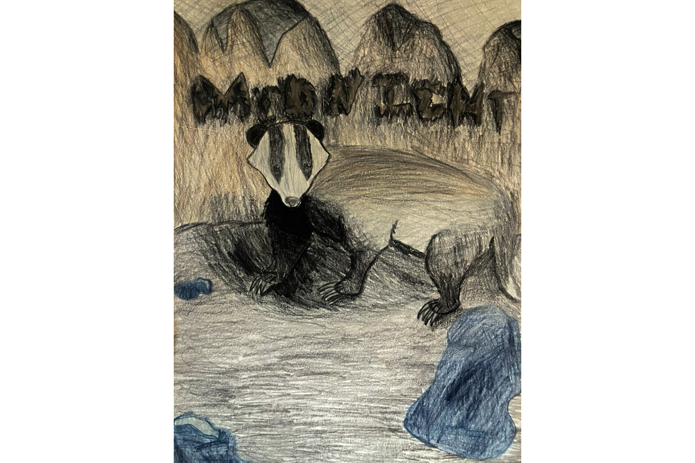 Ava – Non-cat characters challenge