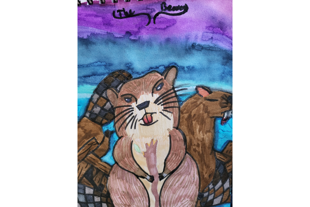 Ava – Non-cat characters challenge