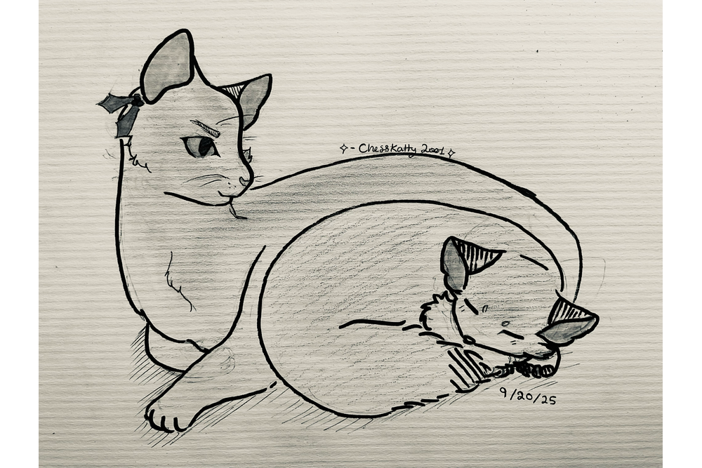 ChessKatty2001 – Non-cat characters challenge