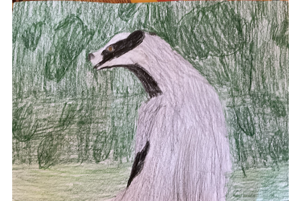 EclipzeStarz333 – Non-cat characters challenge