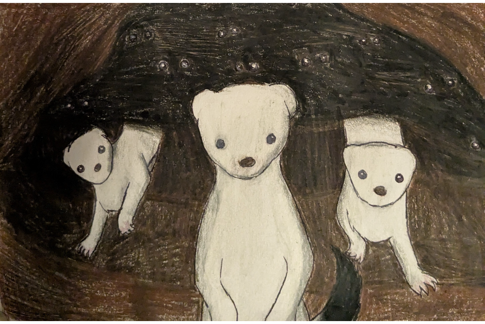 Fallowlight1005162 – Non-cat characters challenge