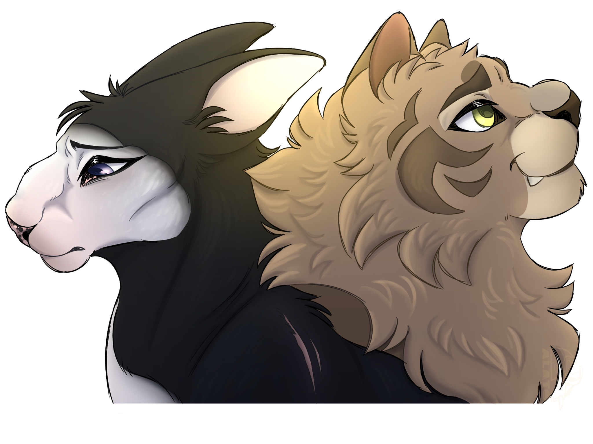 On StormClan’s Folly: fate and destiny, always inescapable?