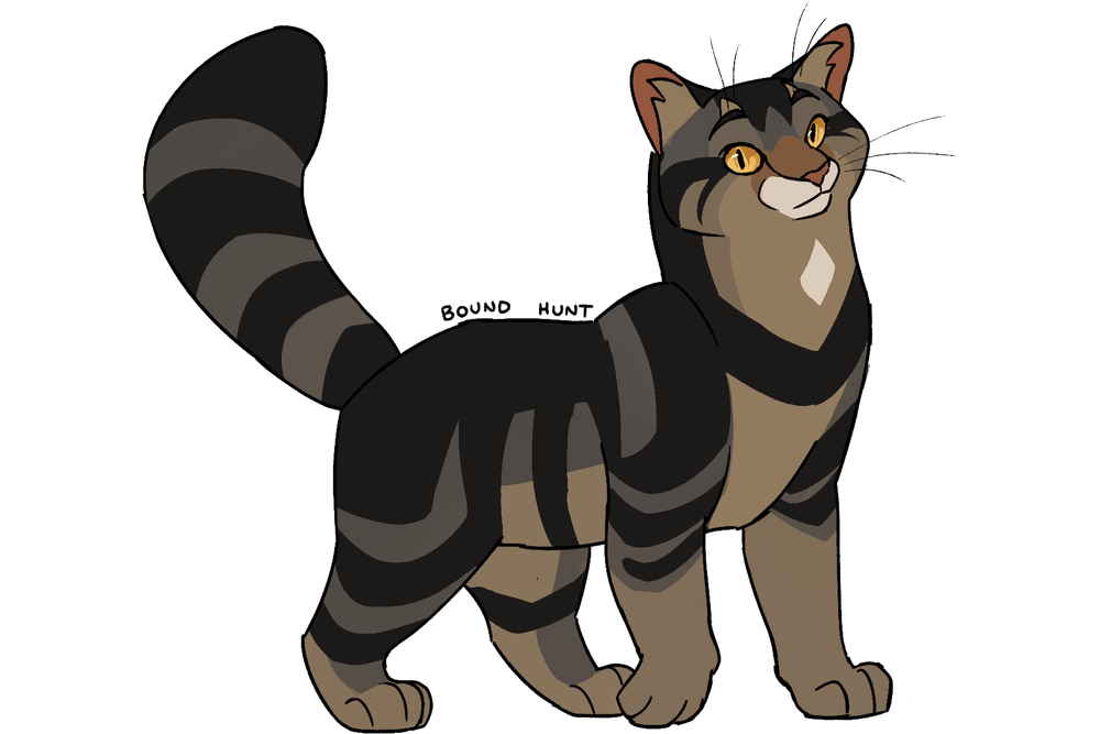 warriorsproject-tumblr-3