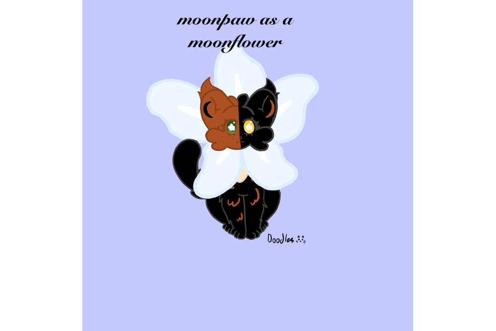 Fallowwish551167 – Costume challenge