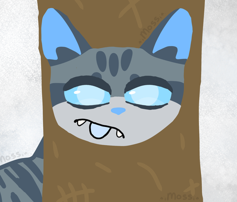 AstraTheStarCat – Costume challenge