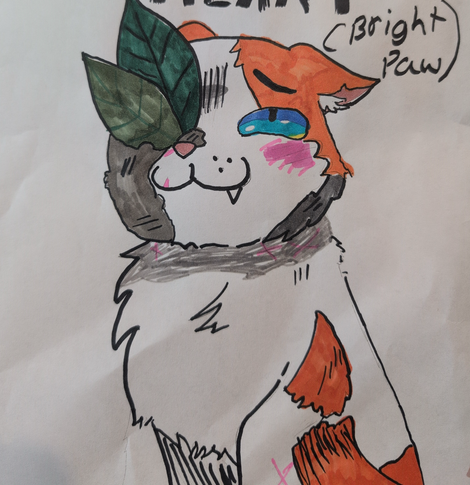 Aslan – Favorite apprentice challenge