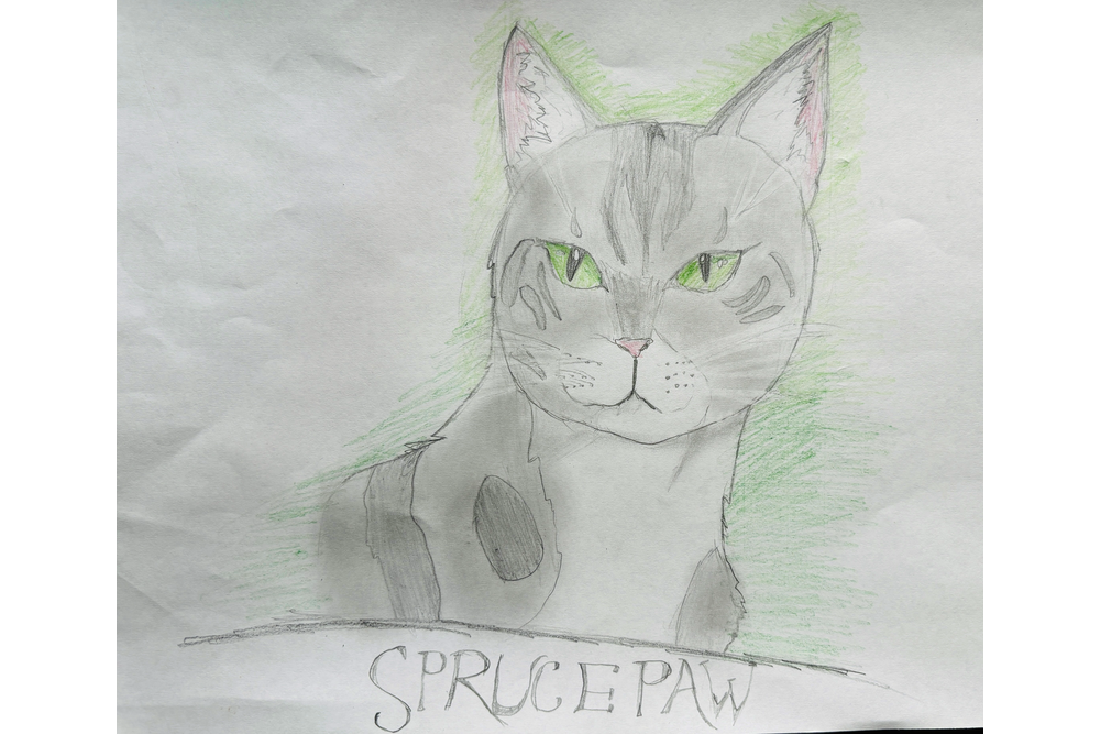 Aslan – Favorite apprentice challenge