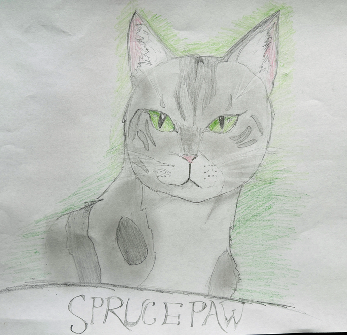 Charlotte – Favorite apprentice challenge