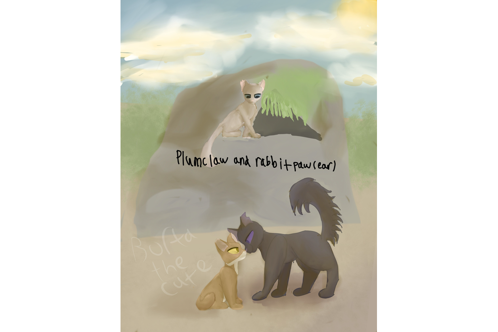 Borta the cute – Favorite apprentice challenge